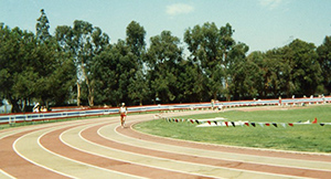 %_tempFileNameMonty010%