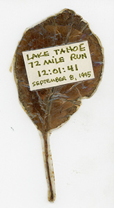 %_tempFileNameMonty028%