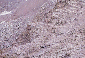 %_tempFileNameMonty061%